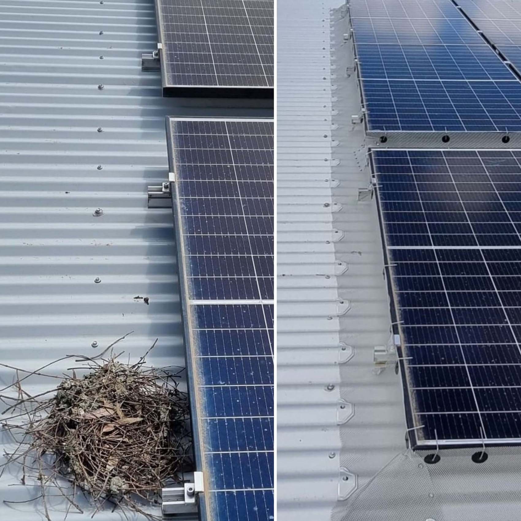 Solar Panel Protection Toowoomba Gutter Guard